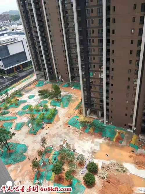  深圳黄页88网