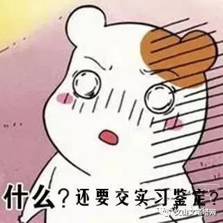 小学生恶搞头像头像