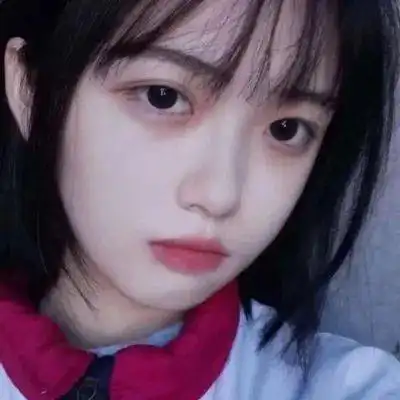  天天21点单机版中国ios安卓通用版iphone手机app下载