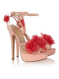  niceshoes