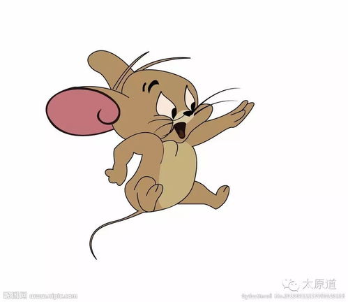  动物奇闻群鼠冒死救同类