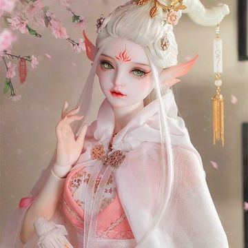  全站相册标签bjd