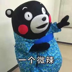 熊本熊头像不带字北冥有