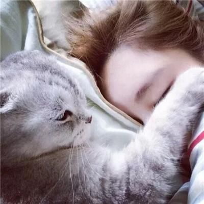  猫也有依赖心理如何判断一只猫是真的对你有感情还是只是为了混口饭吃