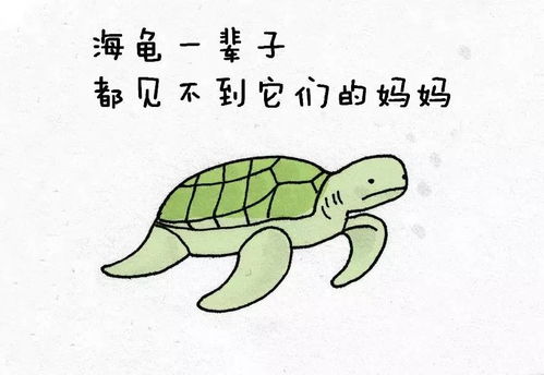  妈呀,不看不知道,原来动物身上竟有这么多逗趣的秘密...