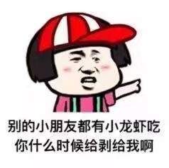  火炬之光手游职业套装效果