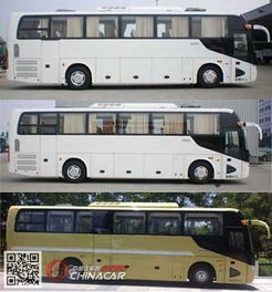 霸气金龙头像客车