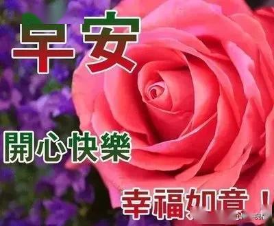  人,互相依靠脚踏实地爱,互相滋润沁人心脾,早安