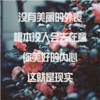  带字风景头像唯美春风十里不如你