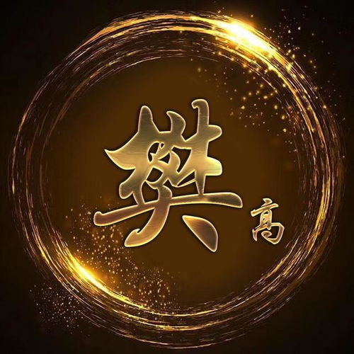  你的头像该换了,18款黑金炫光姓氏壁纸,微信头像
