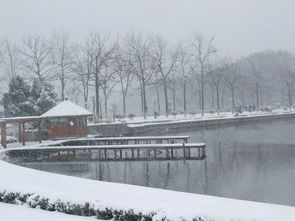 雪景头像高清玄武湖