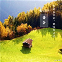  带有处暑的风景唯美头像处暑满地黄