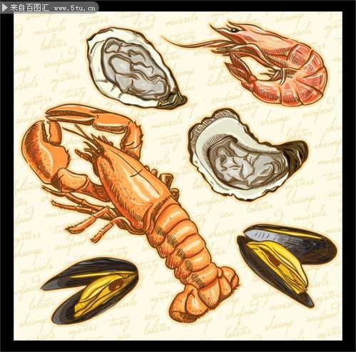  手绘海鲜图片