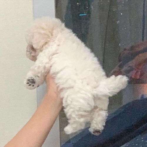  头像精选