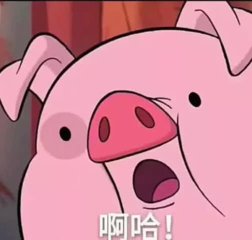  网络一线牵,珍惜这段缘自带网名的情头火了敢用组4是勇士