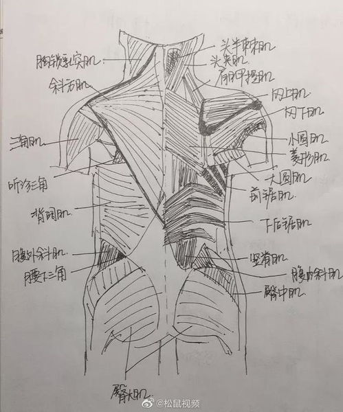  医学生的笔记差别有多大个个都是灵魂画手啊但为啥写字这么丑