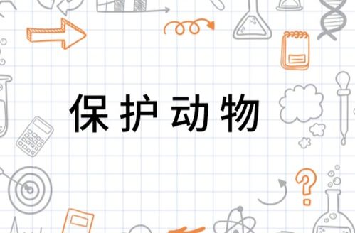  保护动物