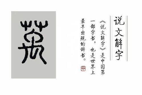  阅江宁悦传承江图带宁走进说文解字第五十课并不是所有的参都叫人参,但它们都可以叫蓡