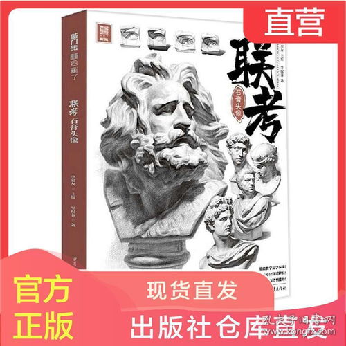  联考石膏头像2020敲门砖邹棂荠素描基础入门五官头像结构照片对画
