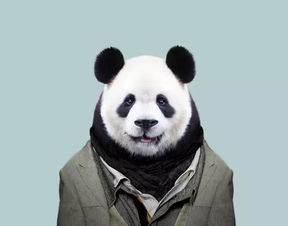  衣冠禽兽万万想不到,穿上衣服的动物腔调十足