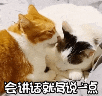  三只松鼠广告又翻车紧急致歉来了