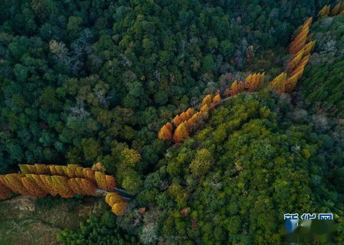 福建三明画好山水画走好振兴路 福建三明画好山水画走好振兴路