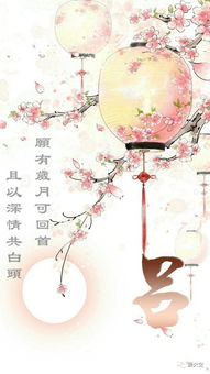  用你的名字,做手机壁纸愿有岁月可回首且以深情共白头