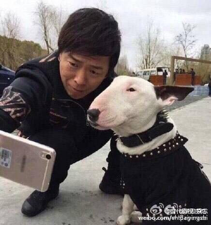  极限挑战黄渤那只小眼睛狗是什么狗