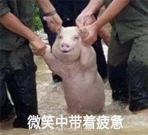  所有的时间线都在打脸陈翔,这个金刚锤也太硬了吧