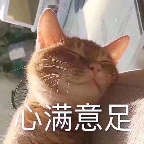  动物沙雕表情包3.5