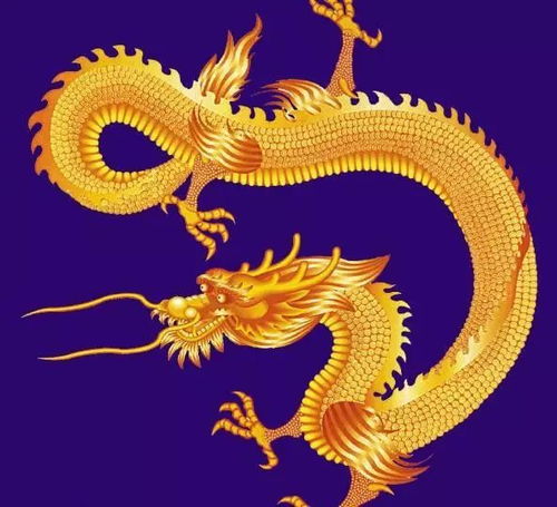  心理学测试4条金龙,测试你后半生的命有多好