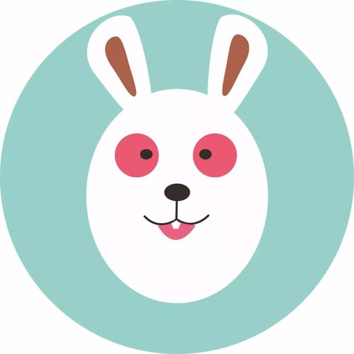  麦玲玲2019猪年十二生肖运程完整版提前开运必睇快d收藏啦...