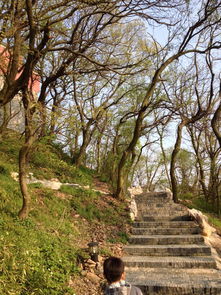  茅山道家乡村风景怡人的放松之旅
