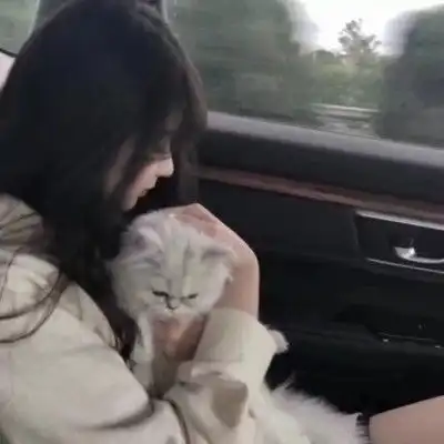  渣女都用什么头像呢