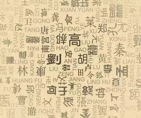  中国姓氏分布图曝光看你的姓氏哪里最多