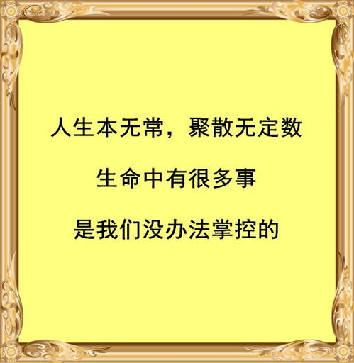  人生聚散,一切随缘