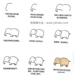  一组画动物的简笔画步骤图