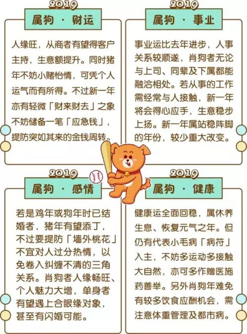  2019年12生肖运程