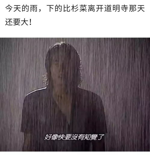  雨天打不到车叫个货车来拉,网友吃货也算货吗