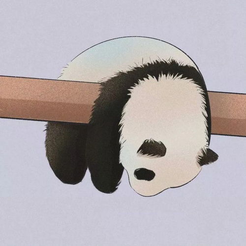 熊猫头像特效坐骑