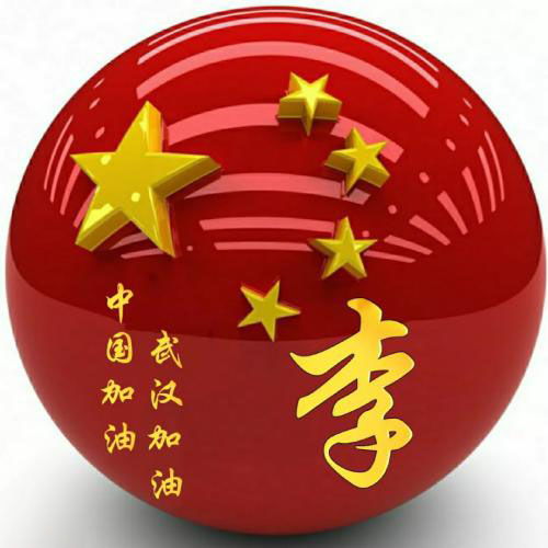 中国加油武汉加油姓氏头像,疫情总会过去的