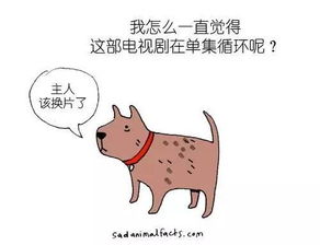  99的人都不知道的30个动物冷知识