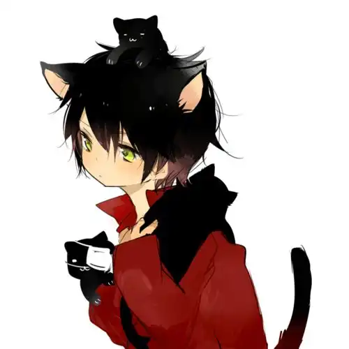  你钉起来真好看翻自王搏顾寒洛天依高音质在线试听你钉起来真好看翻自王搏歌词歌曲下载酷狗音乐