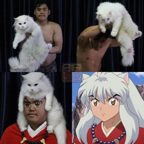 泰国小哥的魔性cosplay,羞耻度与脑洞起飞