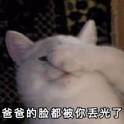  你变坏了