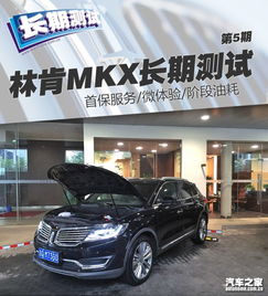 福瑞头像林肯