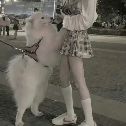  你最喜欢的头像是什么