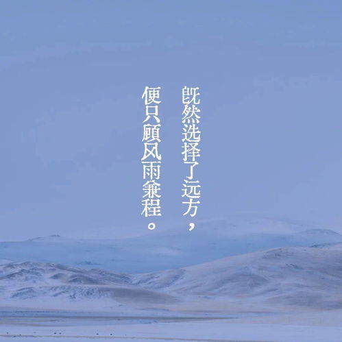  考研人专属头像来了你想要的,我都有