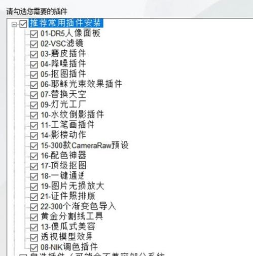 ps全套插件一键安装包下载ps磨皮无损放大图片等全套一键安装插件免费下载