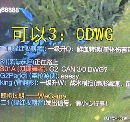 g2峡谷之巅整活,阿p放话要30击败dwg战队,id致敬uzi